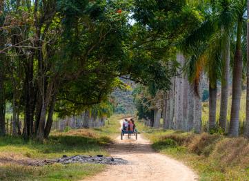 13 C Passeio A Cavalo